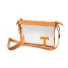 Small Clear Crossbody Purse