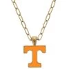 Enamel Power T Necklace 1 Enamel Power T Necklace -Apparel Specialty Shop 497422 01